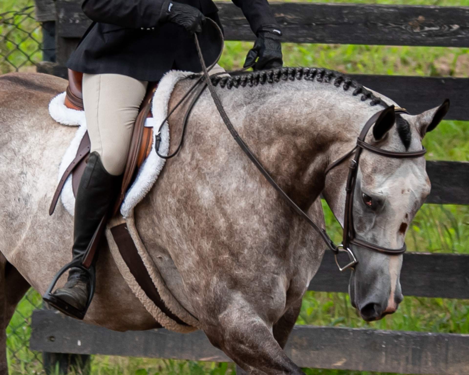 Hunter / Jumper shows Teen Ranch Canada